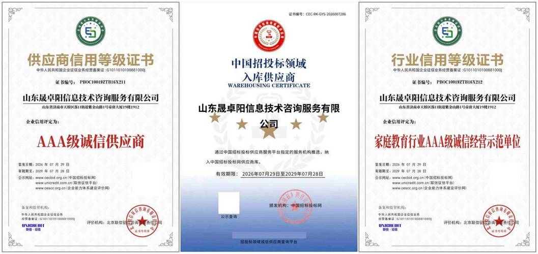 山東晟卓陽信息技術咨詢服務斬獲全套AAA資質 科學家庭教育與信息技術咨詢的完美融合